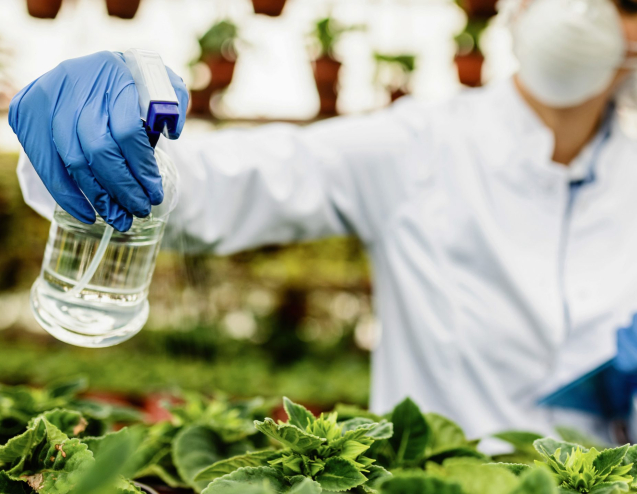 Close-up biologist spraying potted flowers with nutritional fertilizes in a plant nursery.