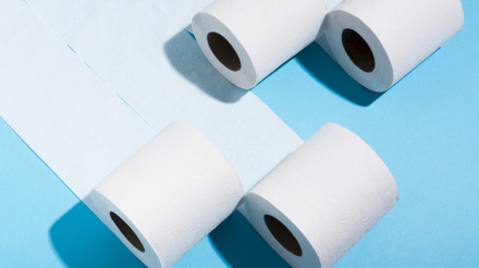 high-angle-rolls-toilet-paper